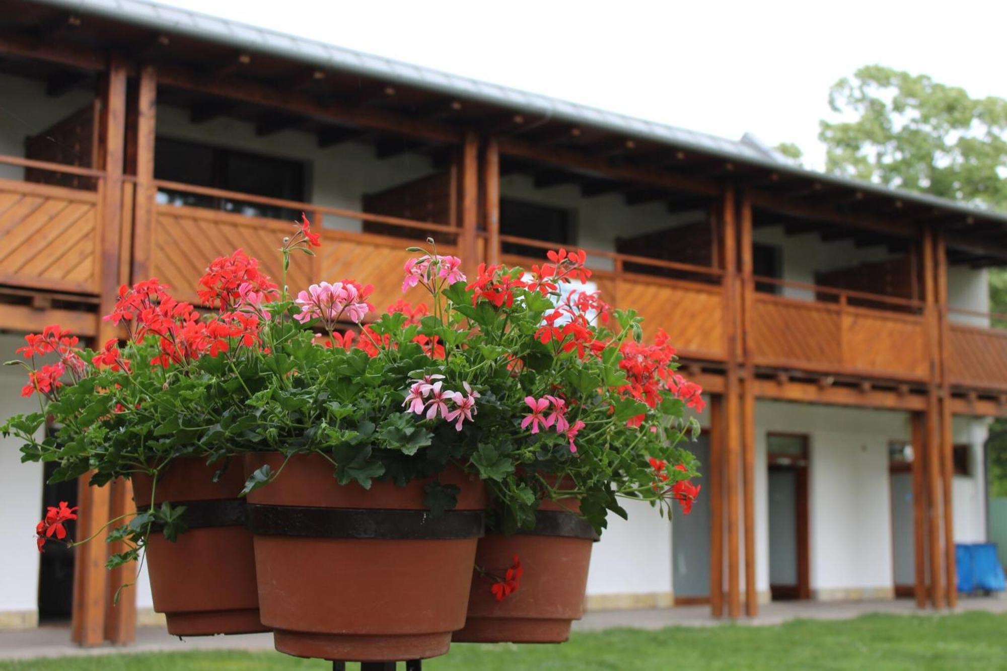 Foeveny Apartmanok Balatonfůzfő Εξωτερικό φωτογραφία